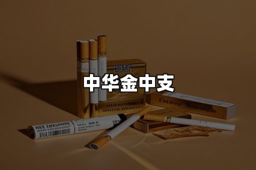 中华金中支